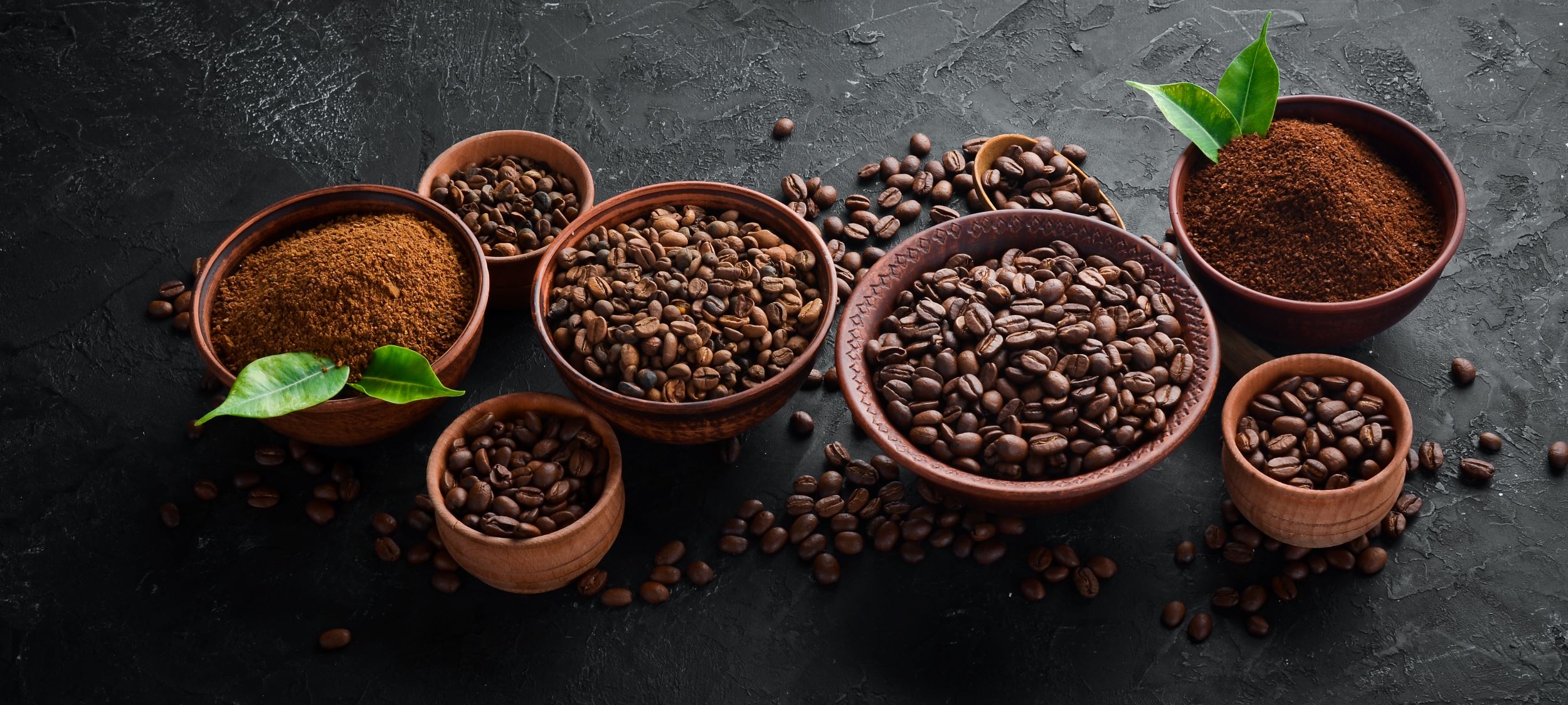 Arabica Vs Robusta Tout Ce Que Vous Devez Savoir Sur Les Vari T S De Caf