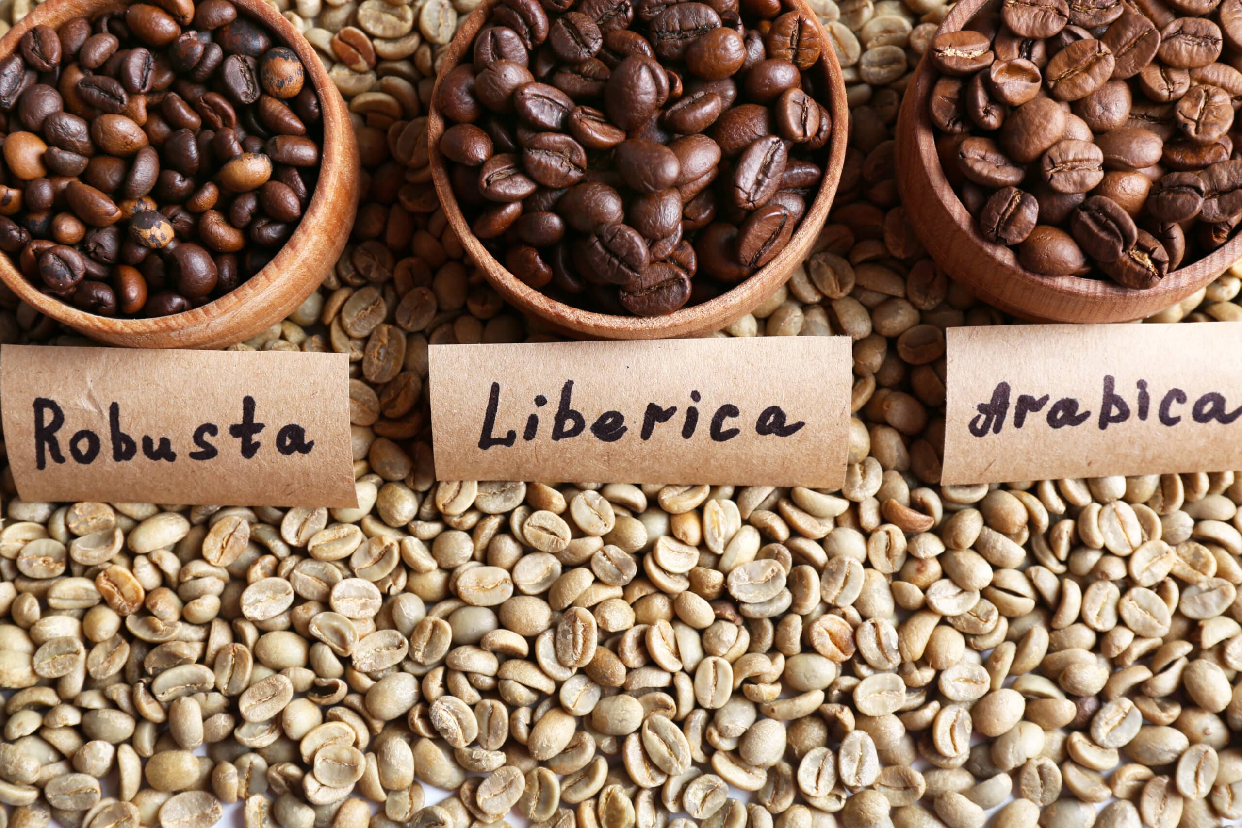 café vert et torréfié arabica robusta et liberica